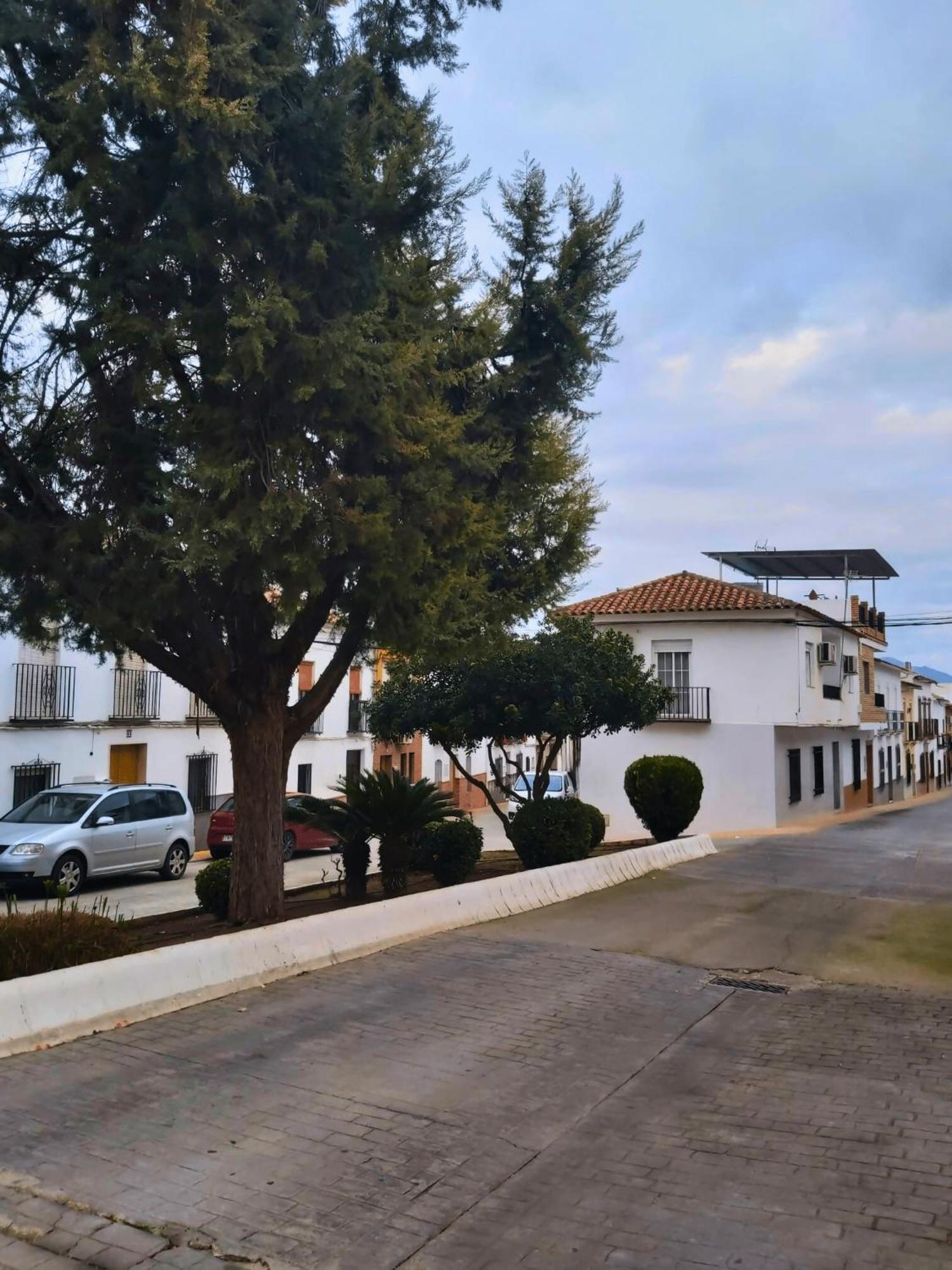 Вилла Arcadia Centro De Andalucia Энсинас-Реалес Экстерьер фото